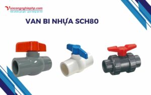 van bi nhựa sch80