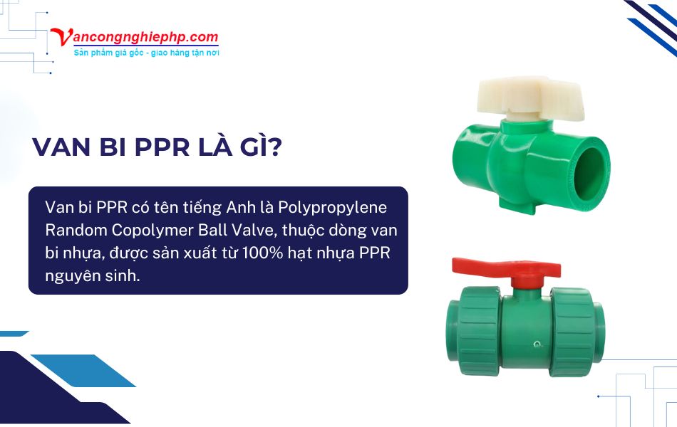 van bi ppr là gì