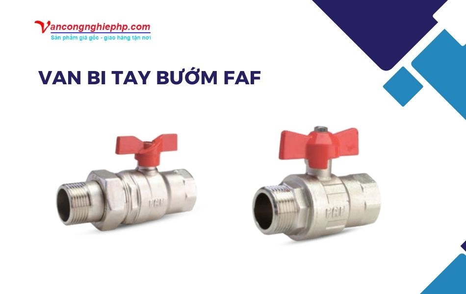 van bi tay bướm faf