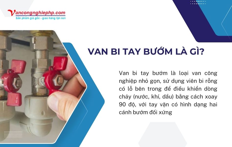 van bi tay bướm là gì