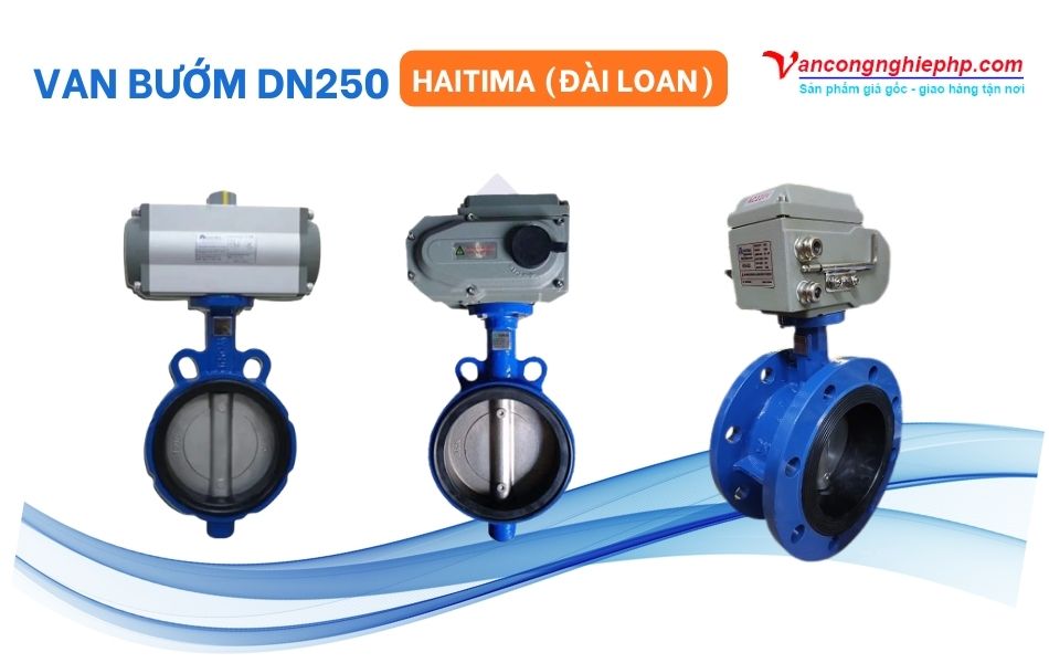 Van bướm DN250 Haitima (Đài Loan)