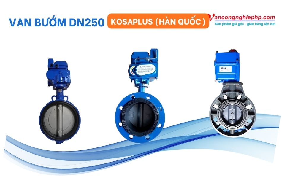 Van bướm DN250 KosaPlus (Hàn Quốc)