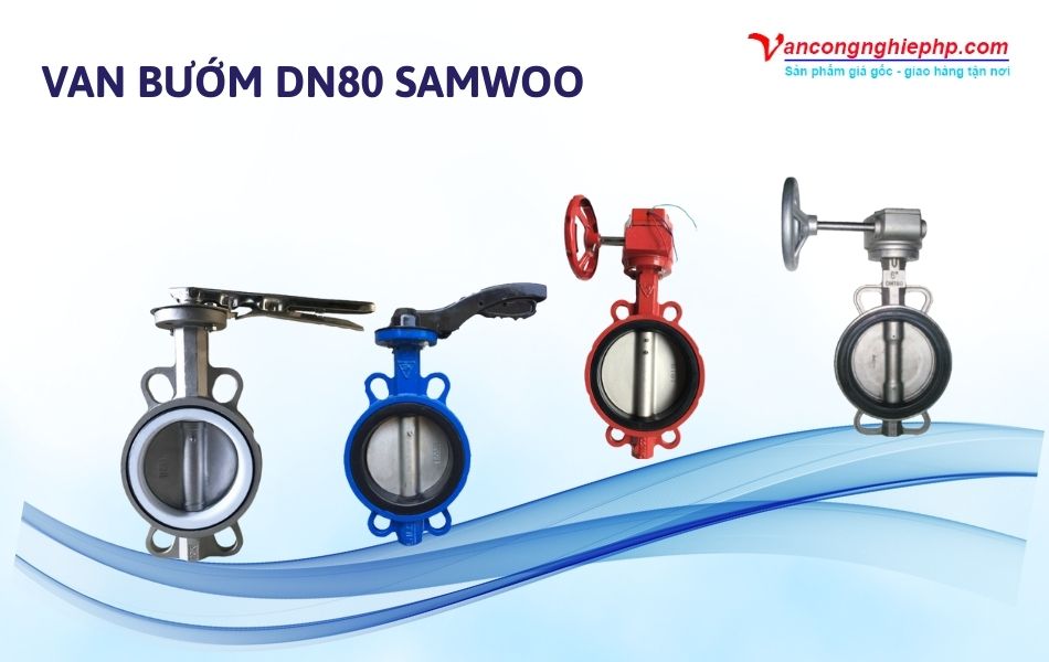 Van bướm DN80 Samwoo
