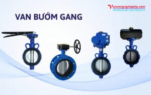 van bướm gang