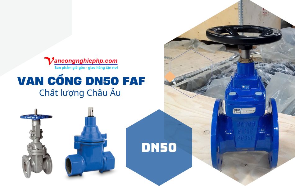 van cổng dn50 faf