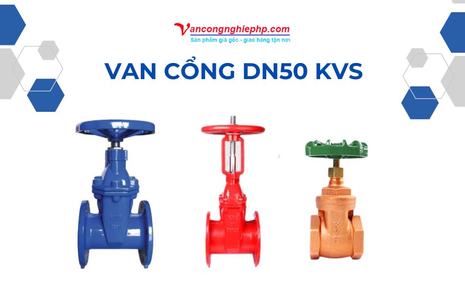 van cổng dn50 kvs