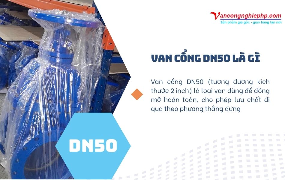 van cổng dn50 là gì