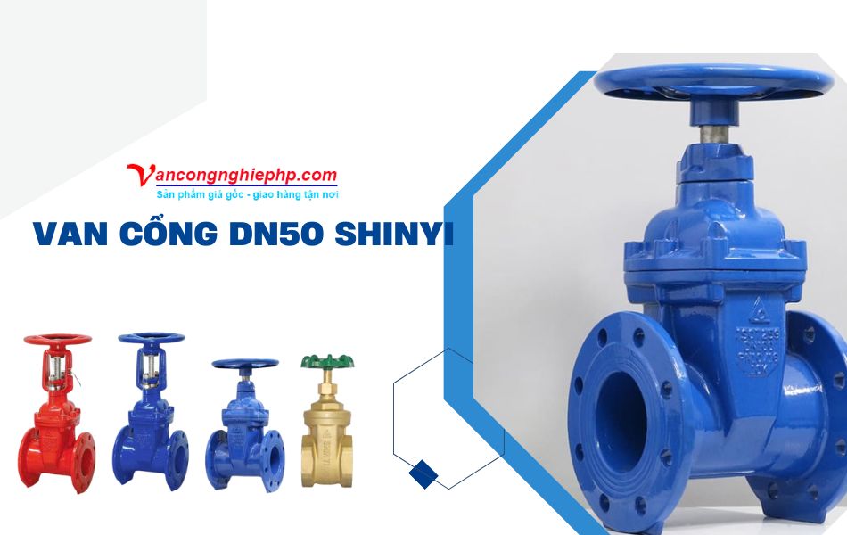 van cổng dn50 shinyi