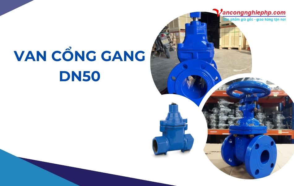 Van cổng gang DN50