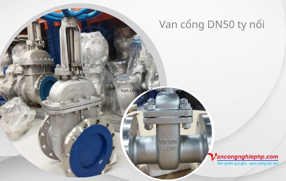 Van cổng ty nổi DN50