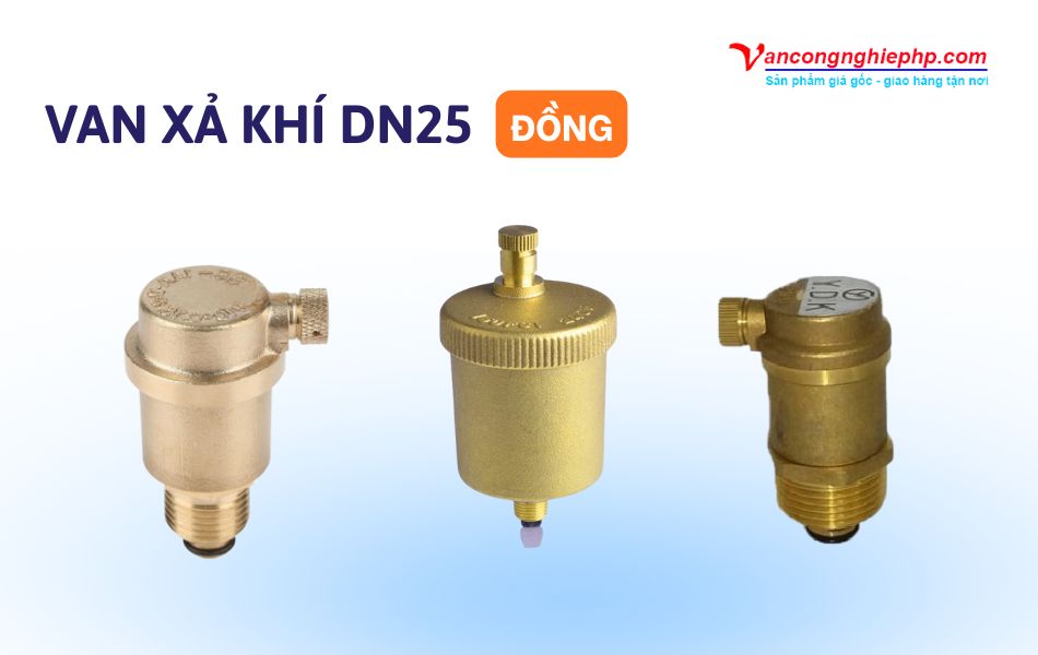 van xả khí đồng dn25