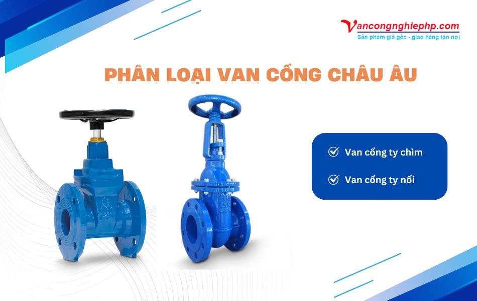 phân loại van cổng châu âu
