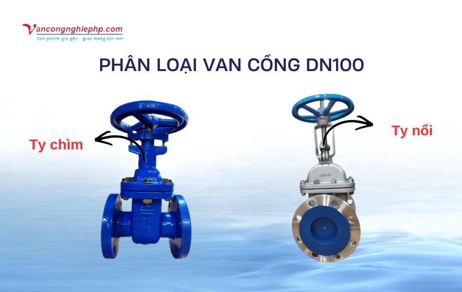phân loại van cổng dn100