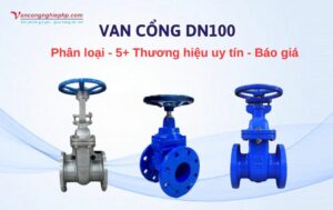 van cổng dn100