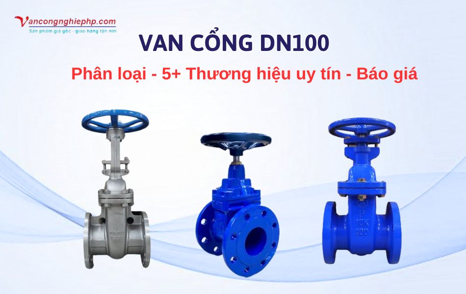 van cổng dn100