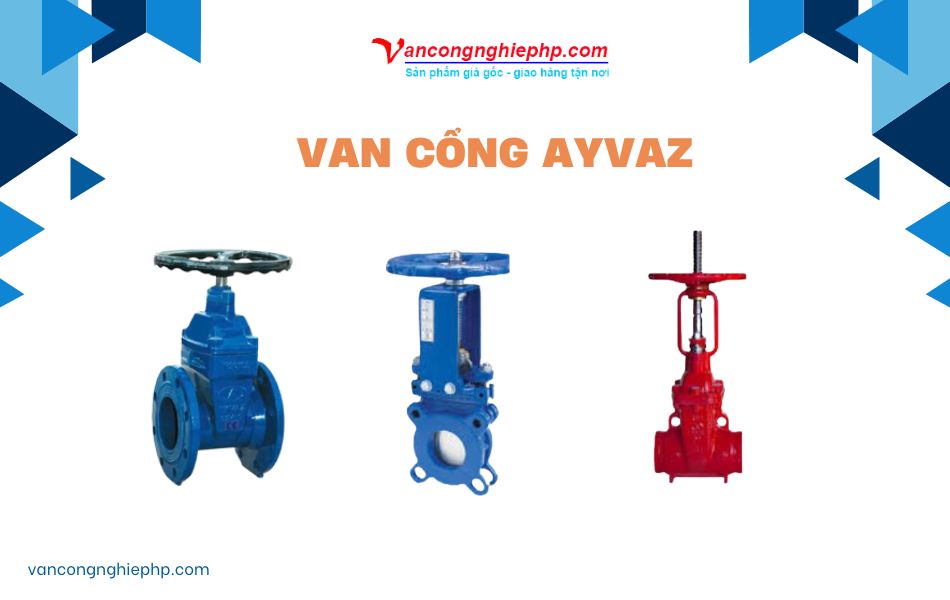 van cổng châu âu thương hiệu ayvaz