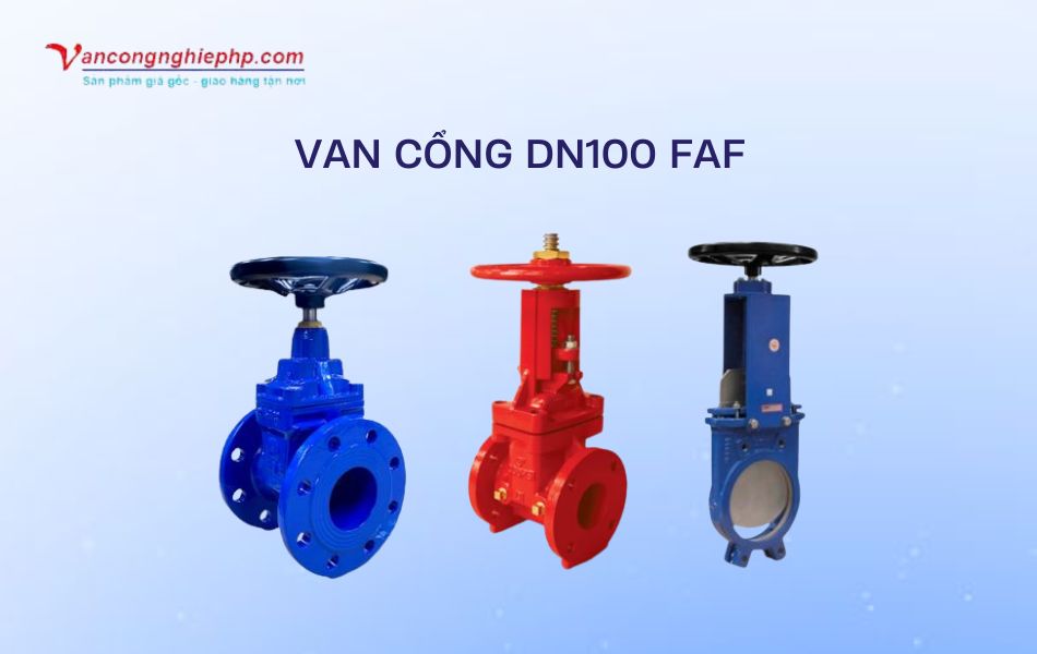 van cổng dn100 faf
