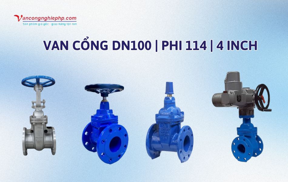 van cổng dn100 là gì
