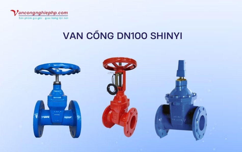 van cổng dn100 shinyi