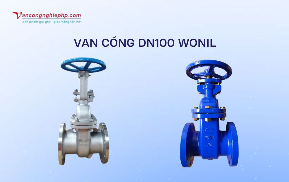 van cổng dn100 wonil