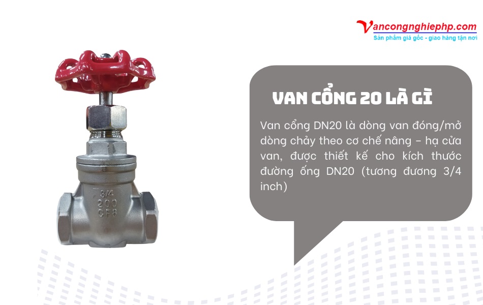 van cổng dn20 là gì
