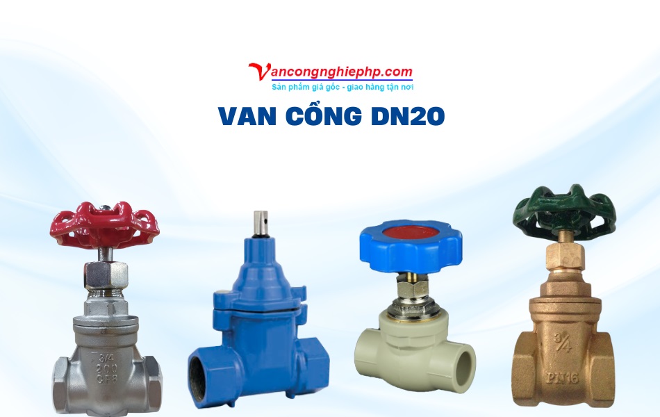 van cổng dn20