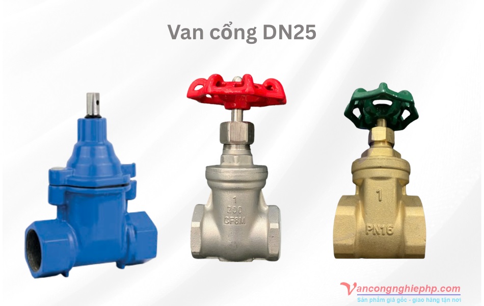 van cổng dn25
