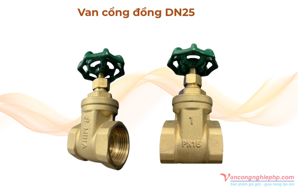 van cổng đồng dn25
