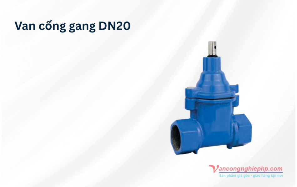 van cổng gang dn20