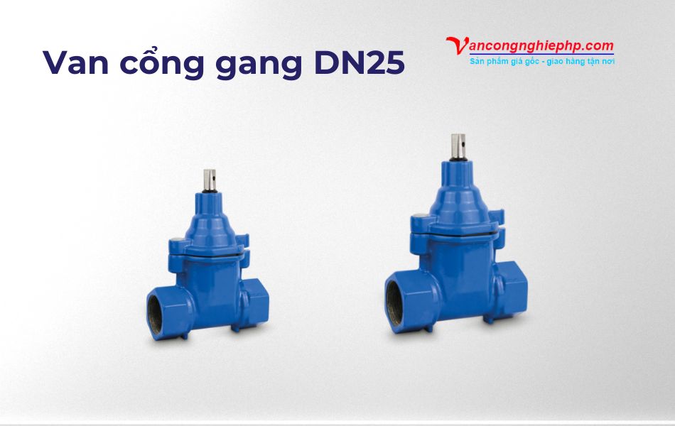 van cổng gang dn25