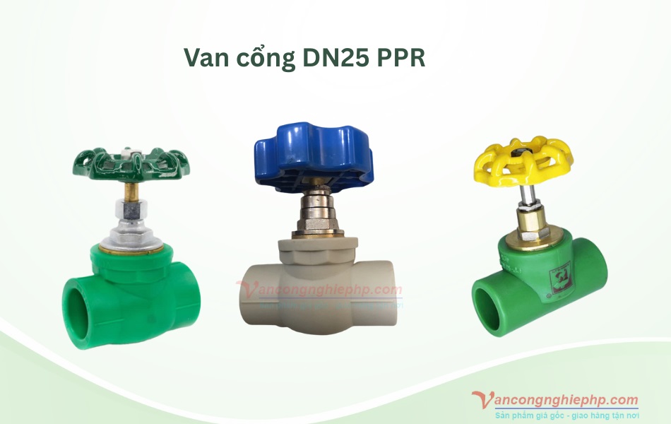 Van cổng PPR DN25