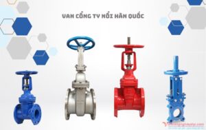 van cổng ty nổi hàn quốc