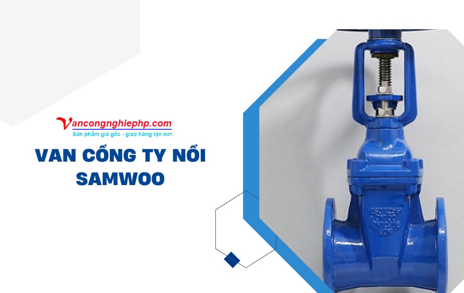 van cổng ty nổi samwoo hàn quốc