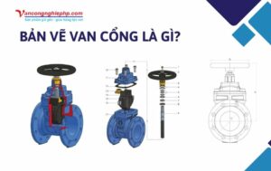 bản vẽ van cổng