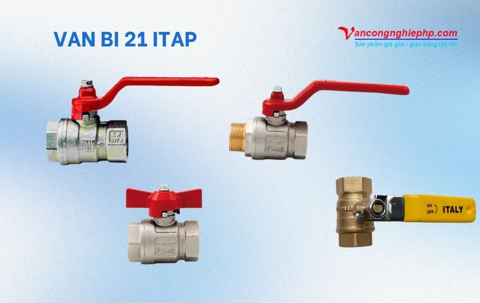 van bi 21 itap