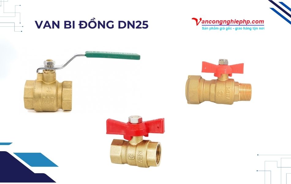 van bi đồng dn25