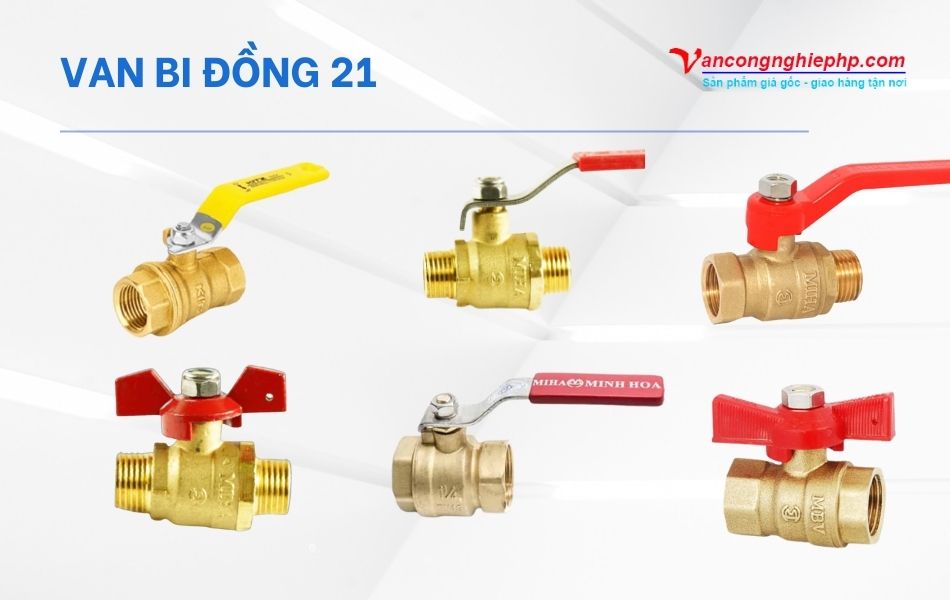 van bi đồng phi 21