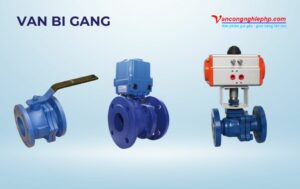 van bi gang
