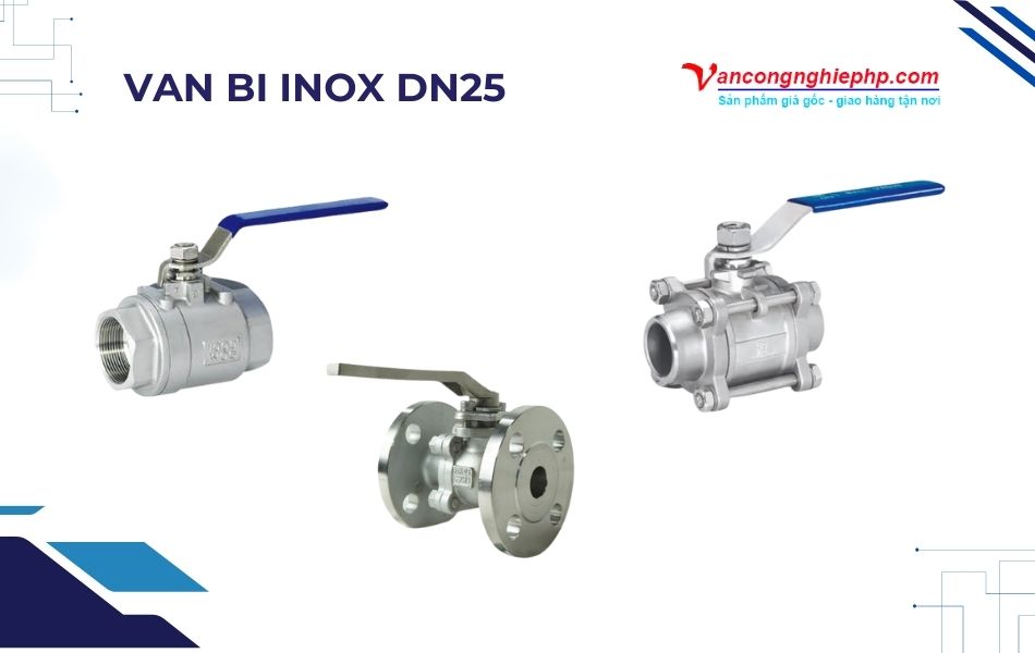 van bi inox dn25