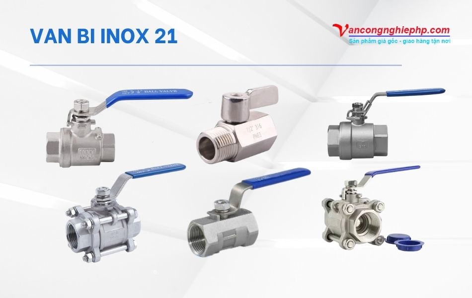 van bi inox 21