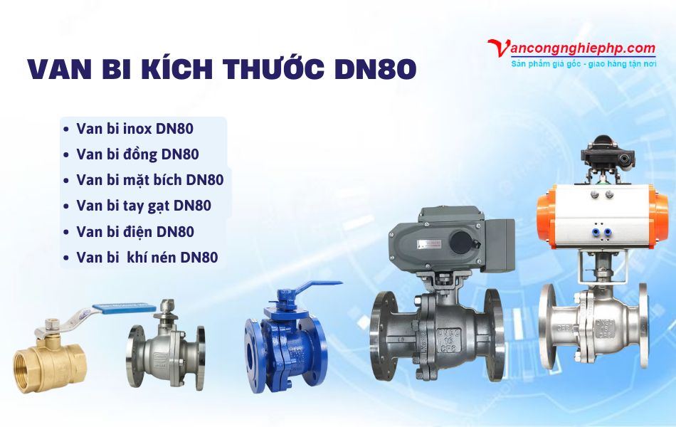các loại van bi dn80