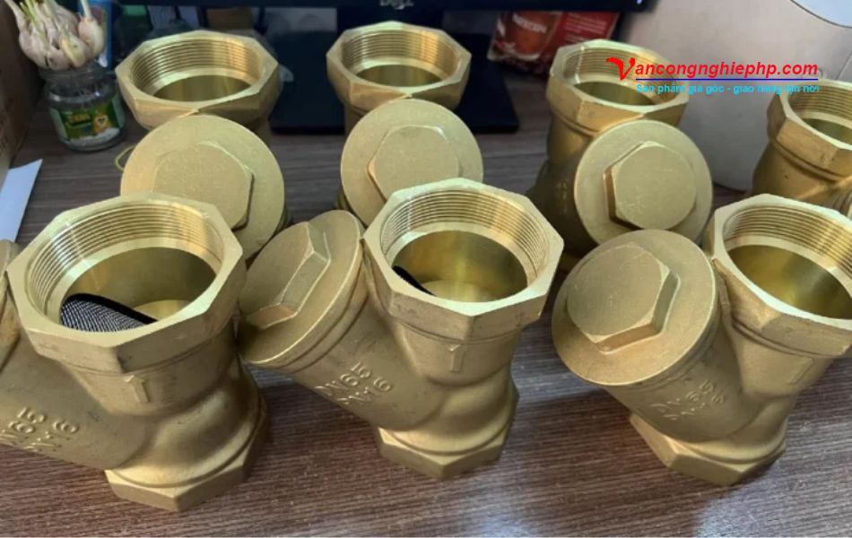 hình ảnh thực tế y lọc đồng