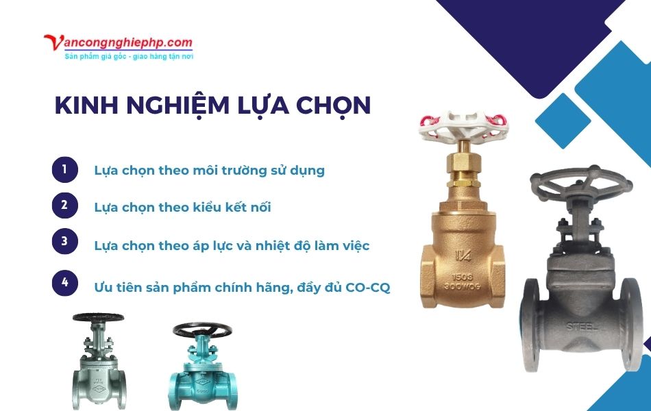 kinh nghiệm lựa chọn van cửa toyo
