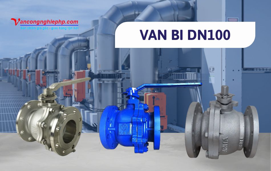 van bi dn100