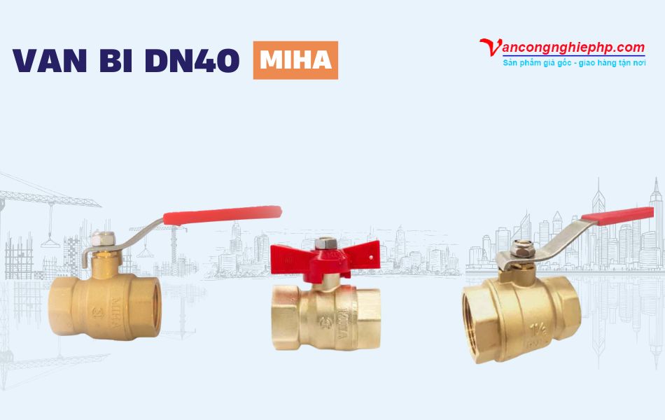Van bi DN40 Miha