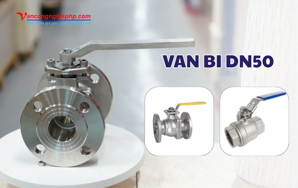 van bi dn50