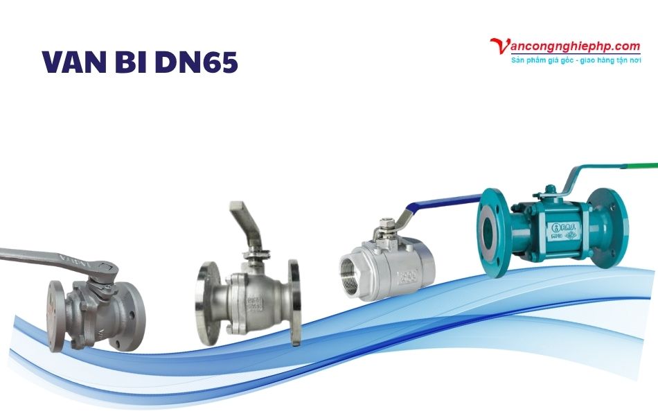 van bi dn65