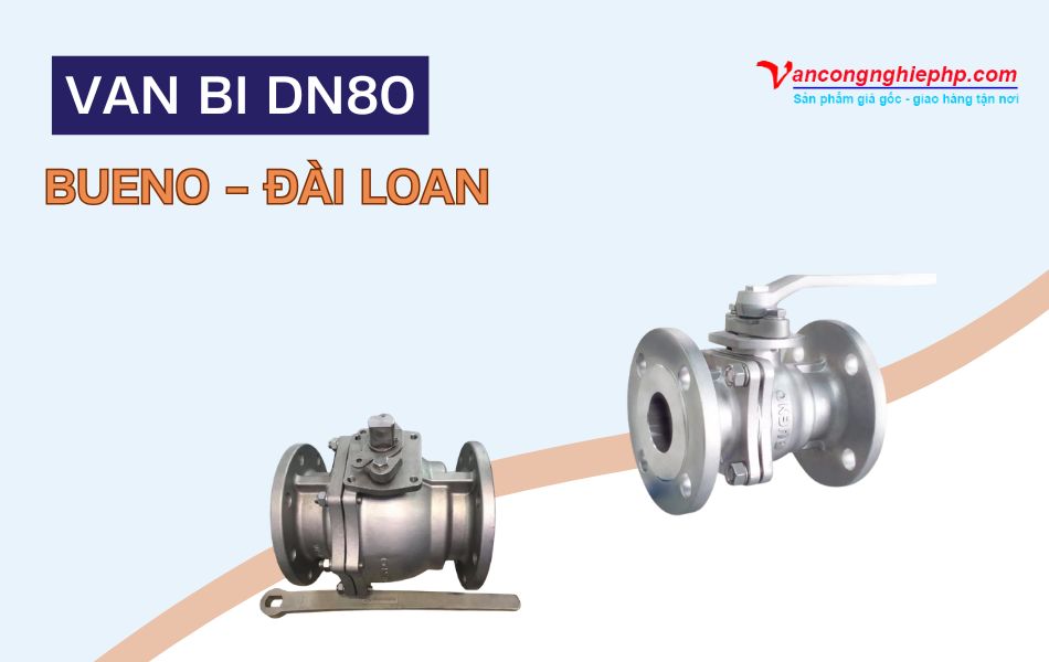 van bi dn80 bueno