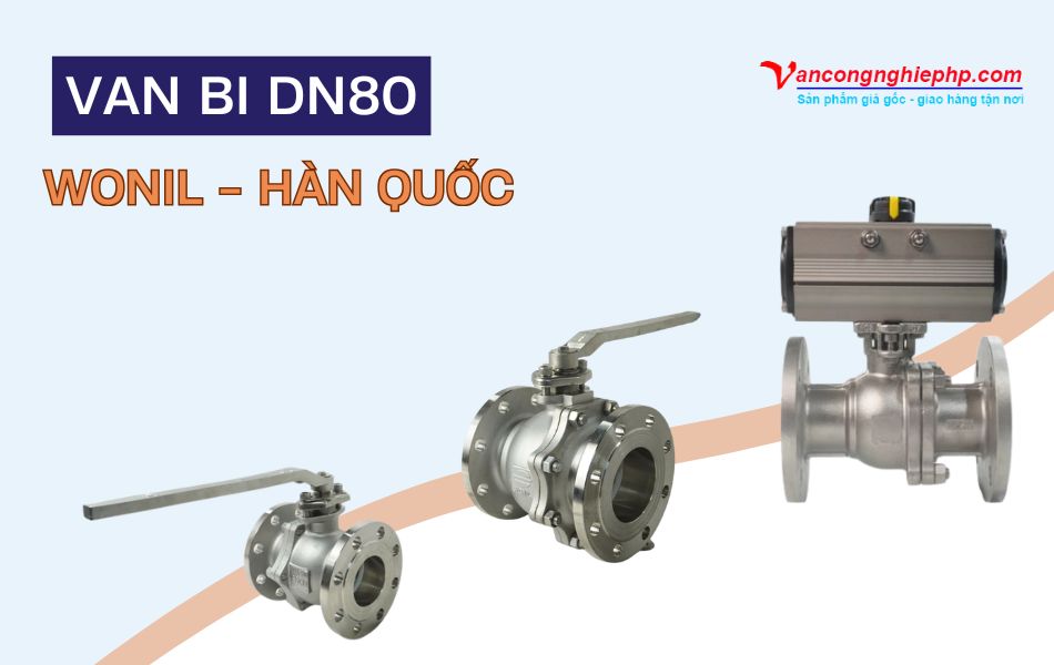 van bi dn80 wonil
