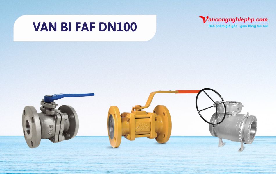 van bi dn100 faf
